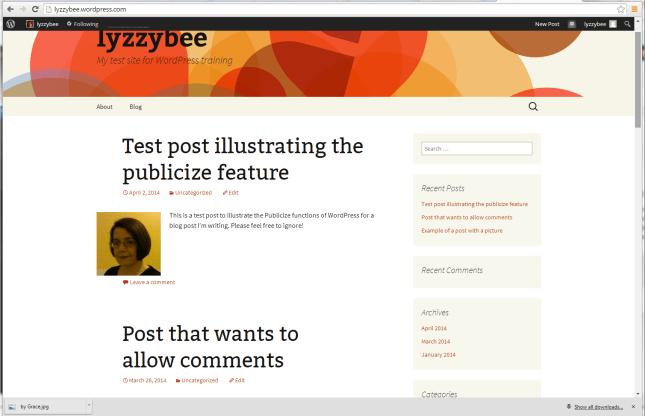 default WordPress view - blog posts