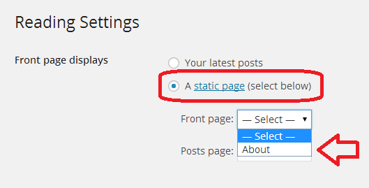Choose a static page