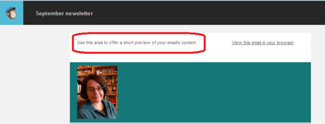 Sample teaser text in MailChimp