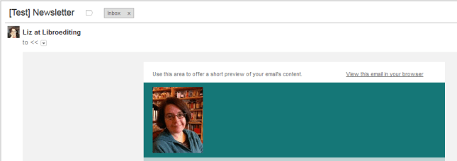 Full MailChimp email with errors