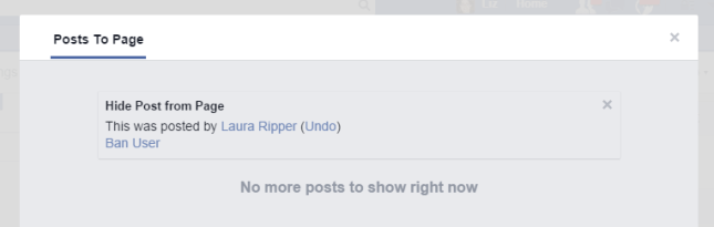 Facebook page hide post