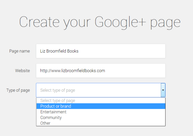 Google+ page set up brand