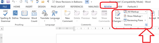 track changes options to add pictures to comments