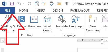 access word options to display picture in word comments